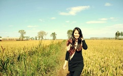 一本到高清视频不卡dvd日本